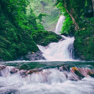 屠城决果盘手游下载